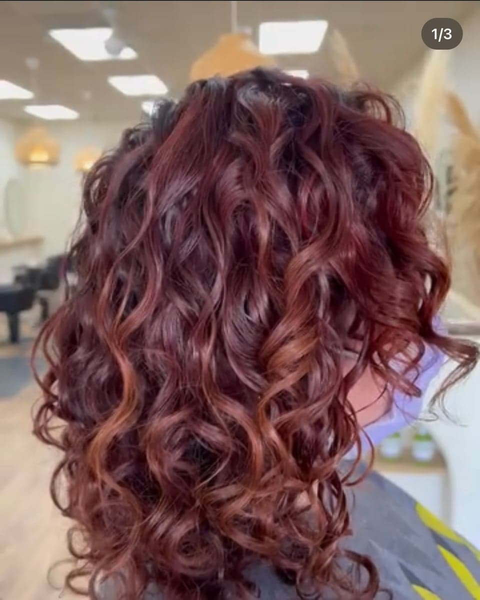 Curls Gone Wild gallery image